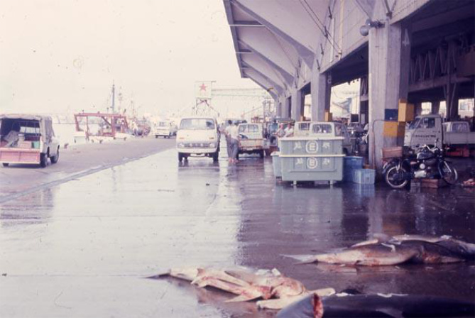昭和48年当時の気仙沼魚市場
